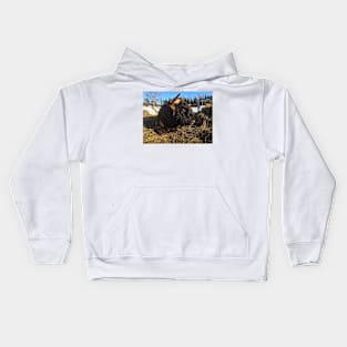 Scottish Highland Cattle Bull 1934 Kids Hoodie